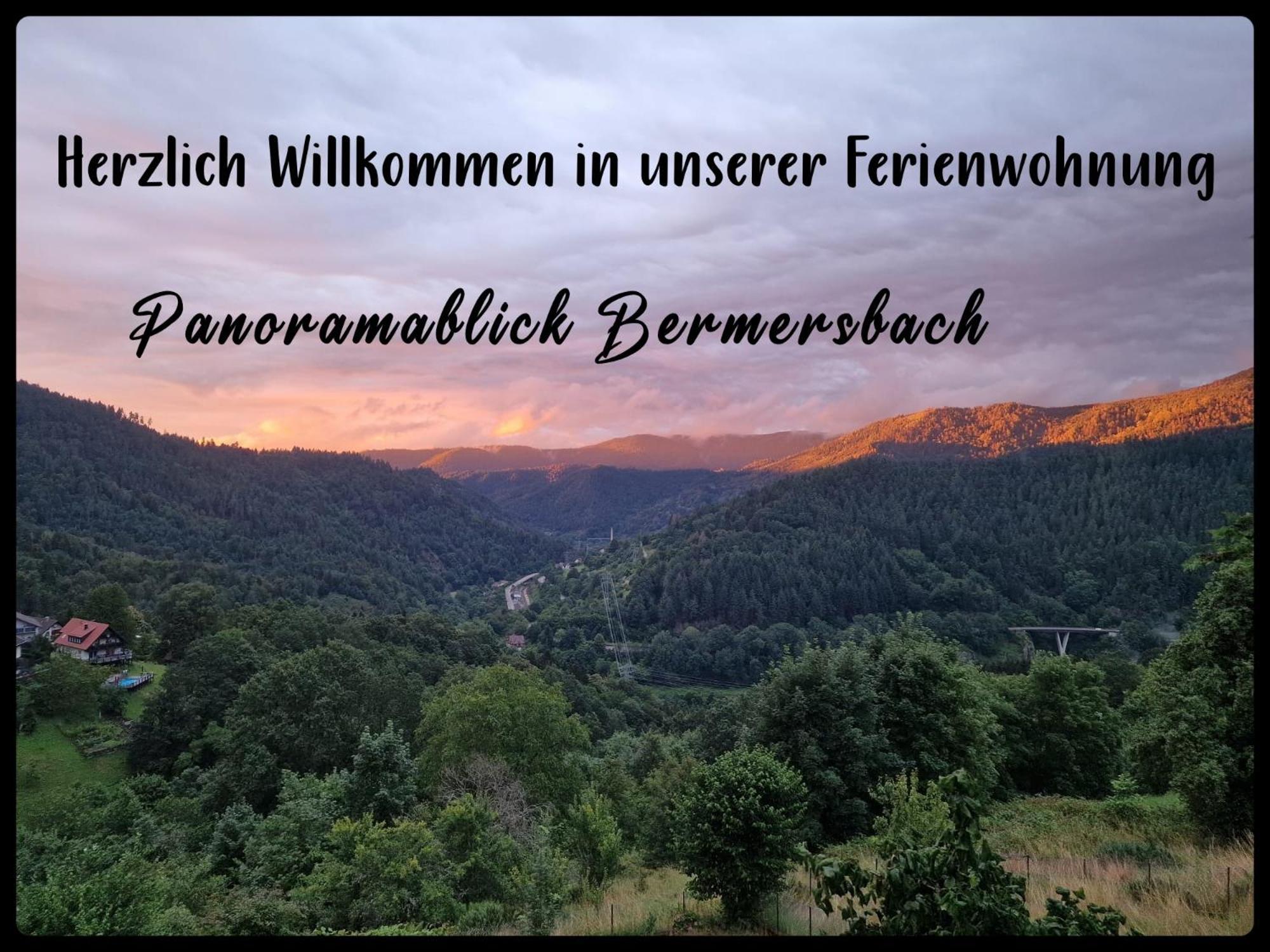 Panoramablick Bermersbach Apartment *