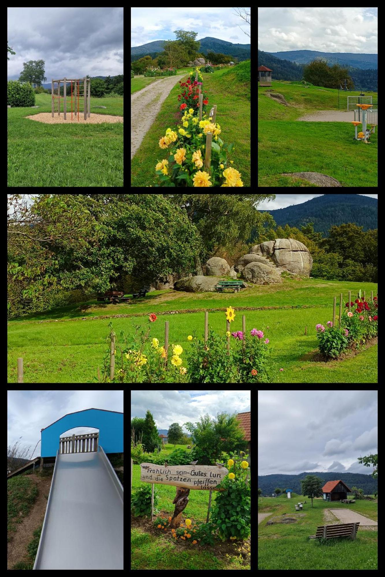 Panoramablick Bermersbach Apartment Forbach