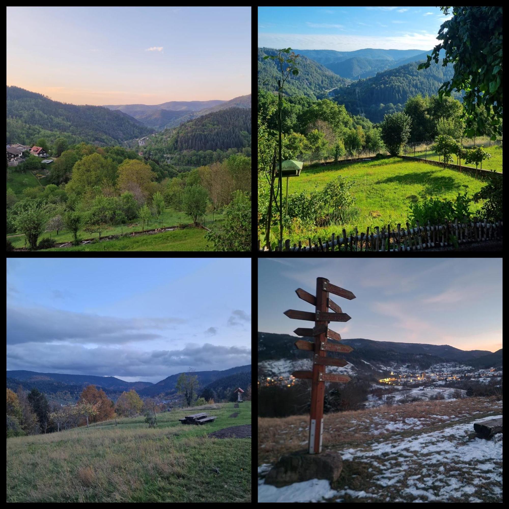 Panoramablick Bermersbach Apartment Forbach